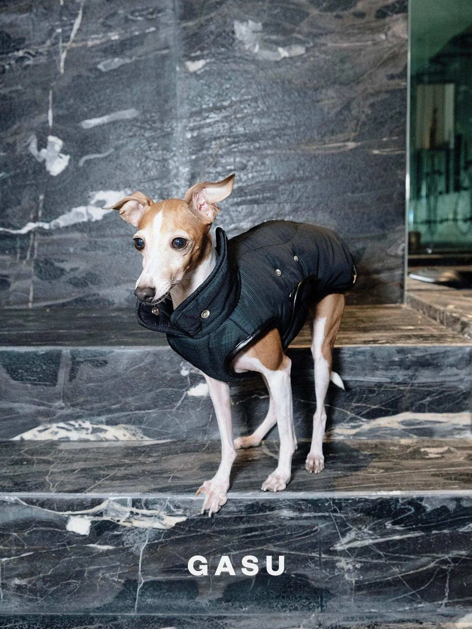 Antistatic Thermal Quilted Dog Vest