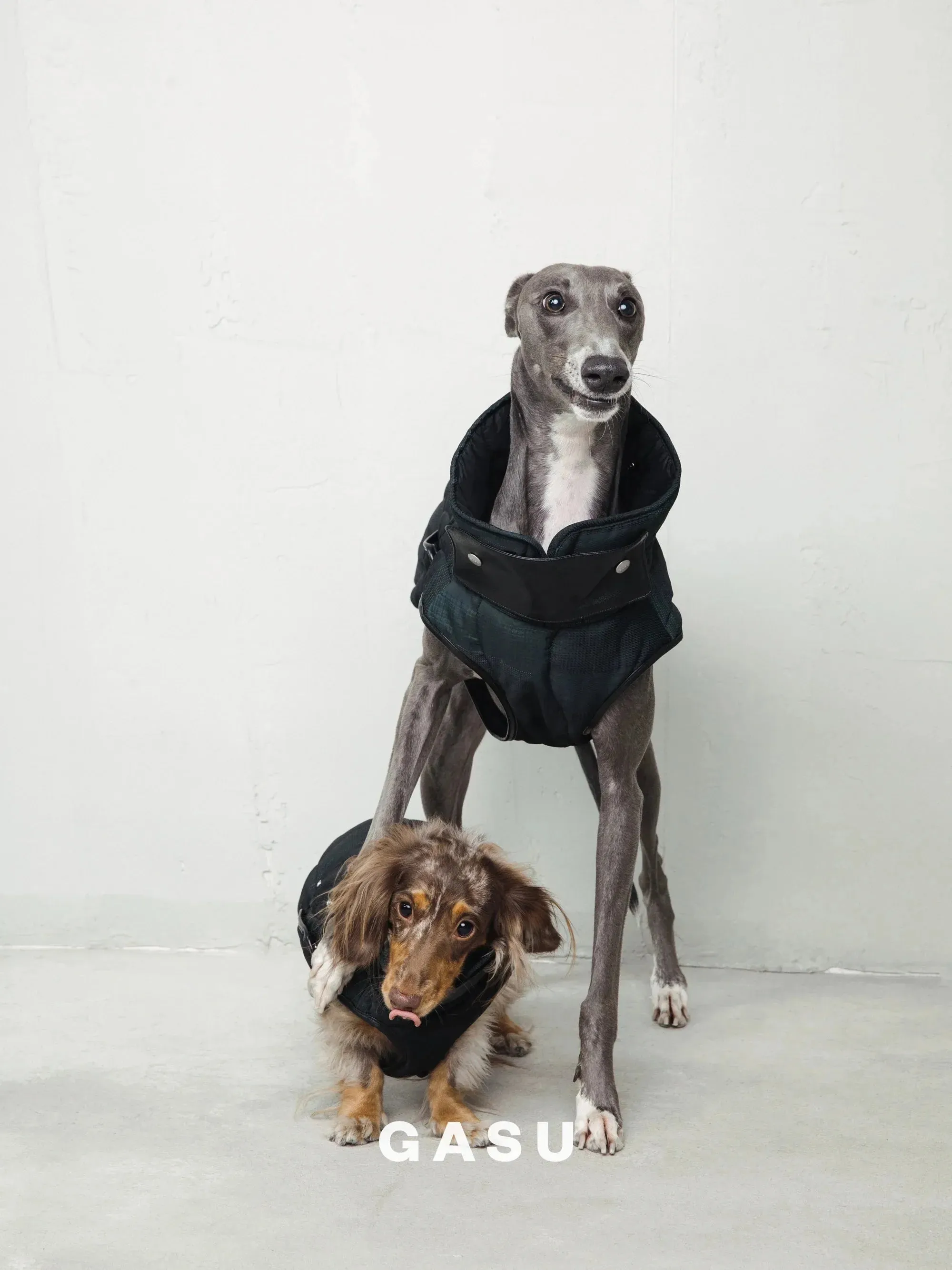 Antistatic Thermal Quilted Dog Vest