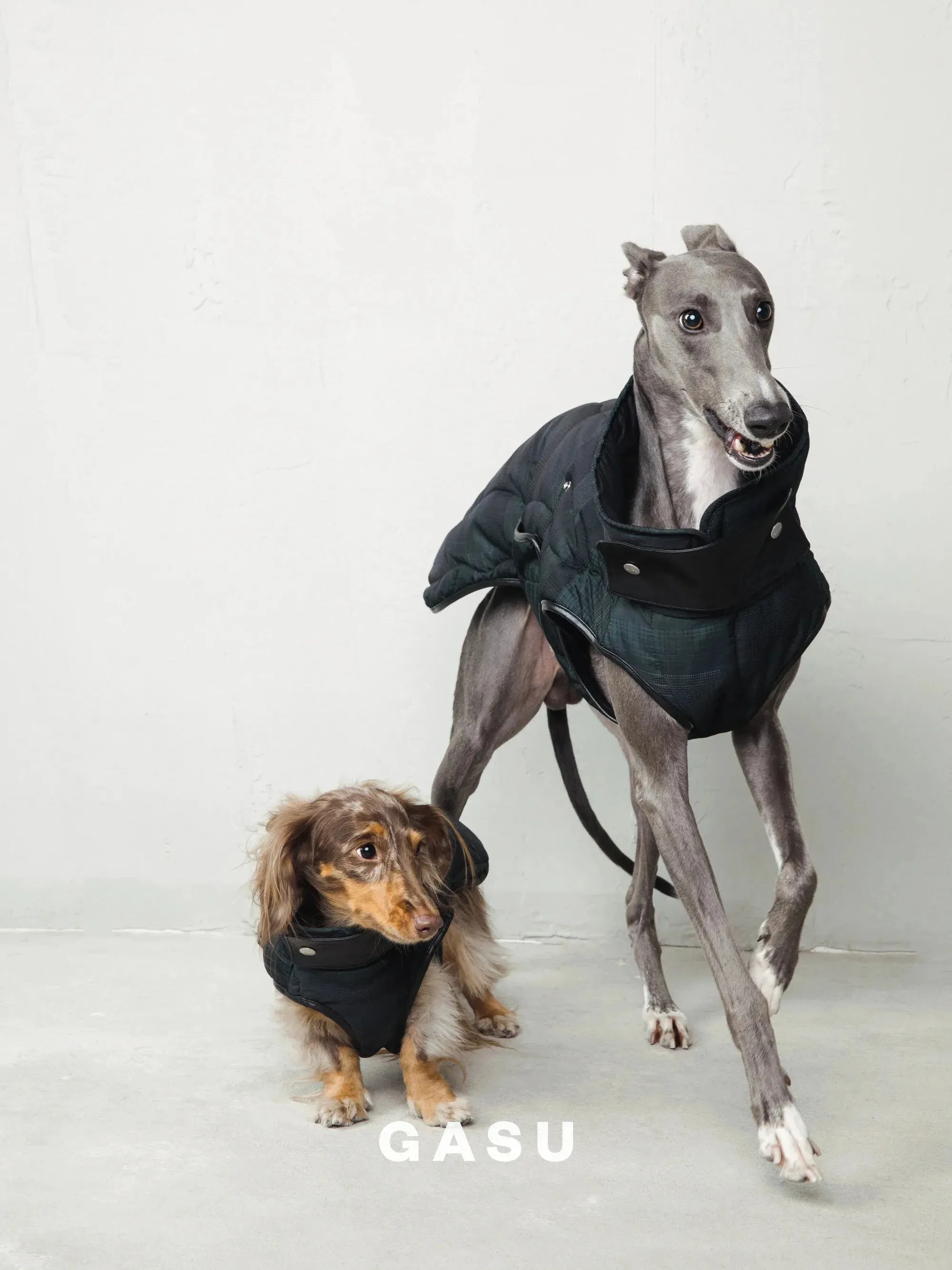 Antistatic Thermal Quilted Dog Vest