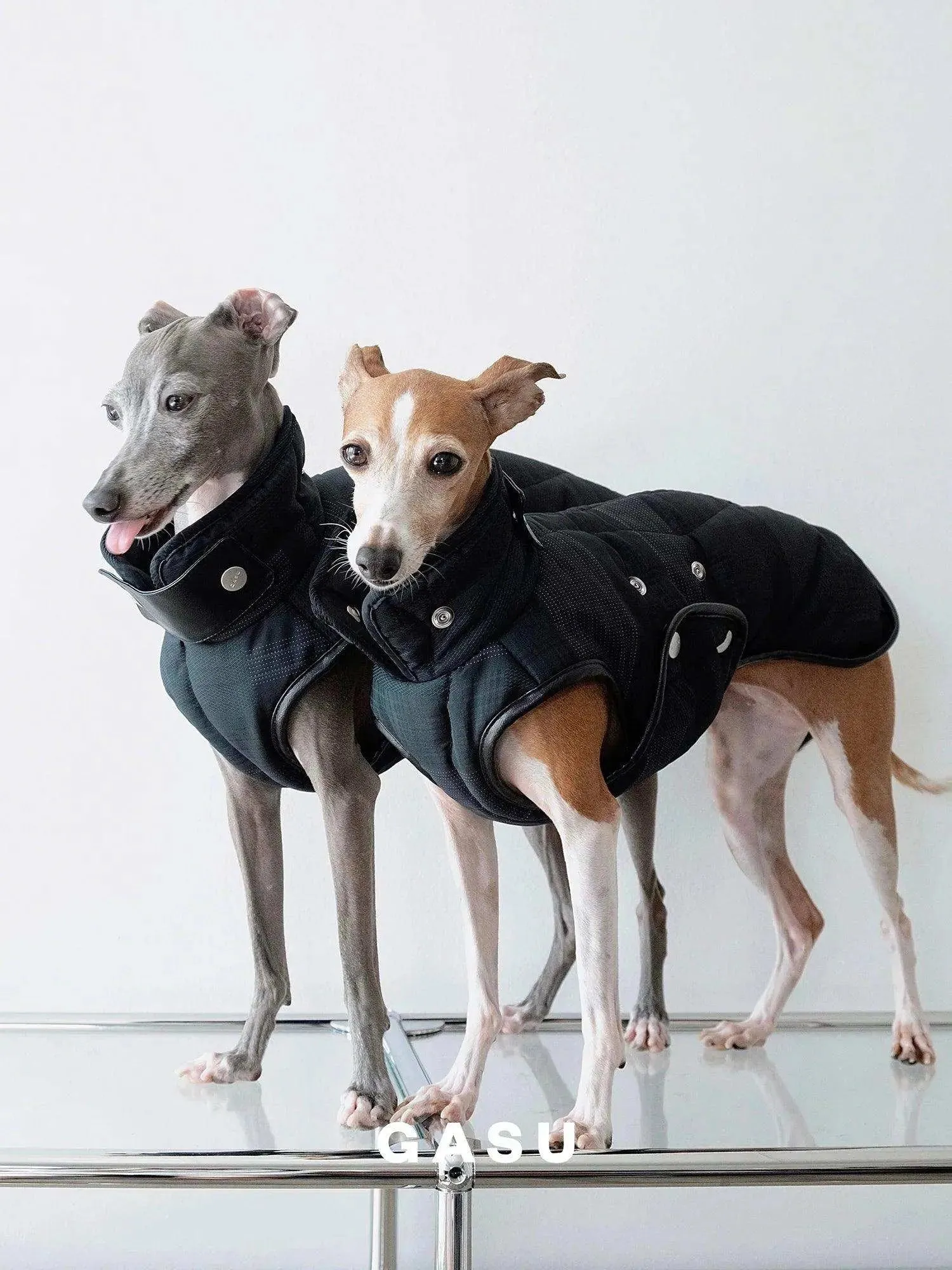 Antistatic Thermal Quilted Dog Vest