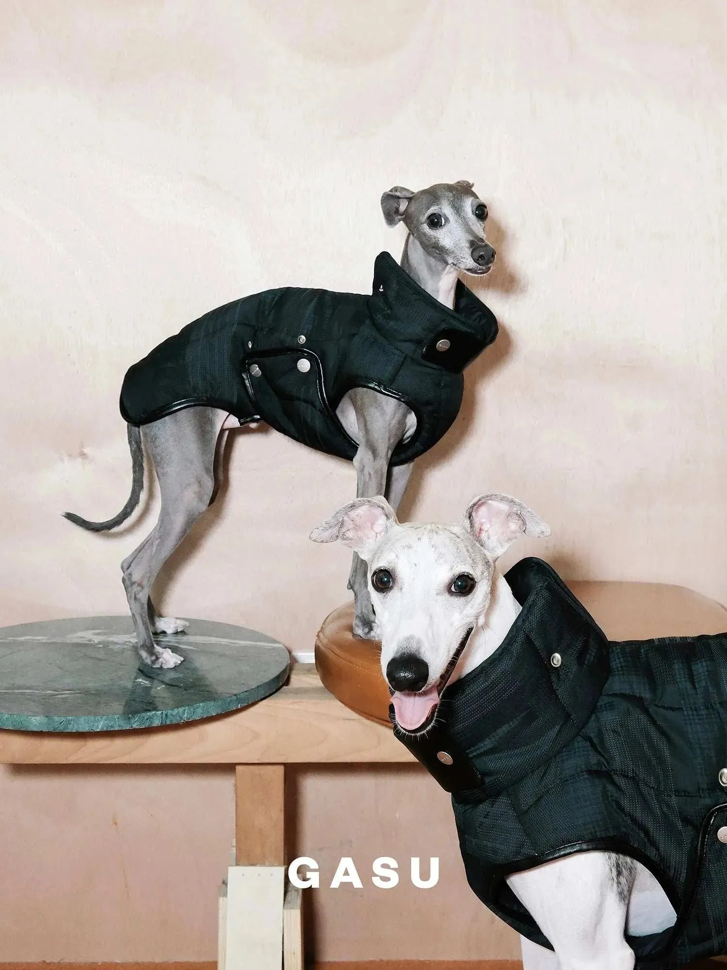 Antistatic Thermal Quilted Dog Vest