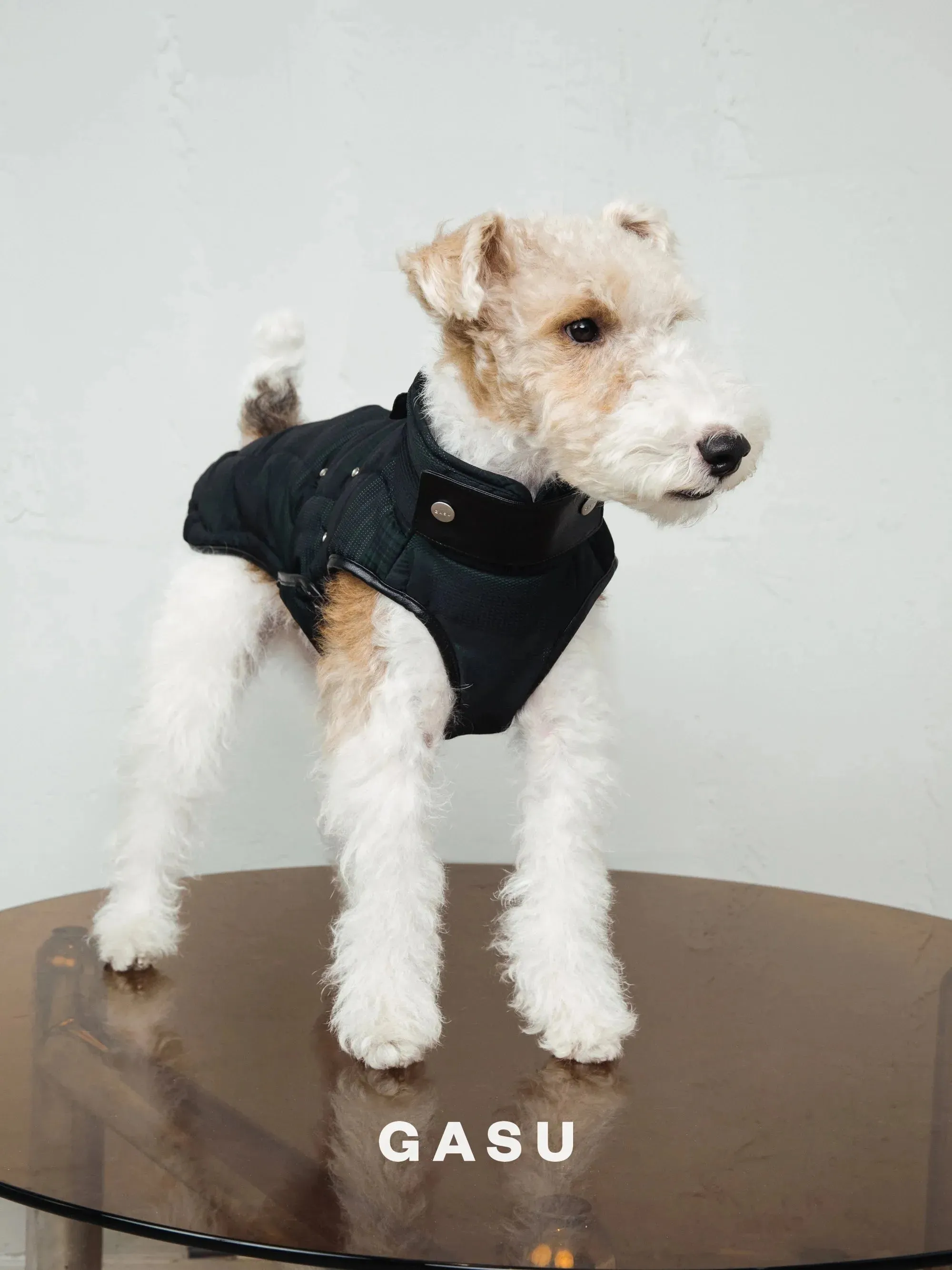 Antistatic Thermal Quilted Dog Vest