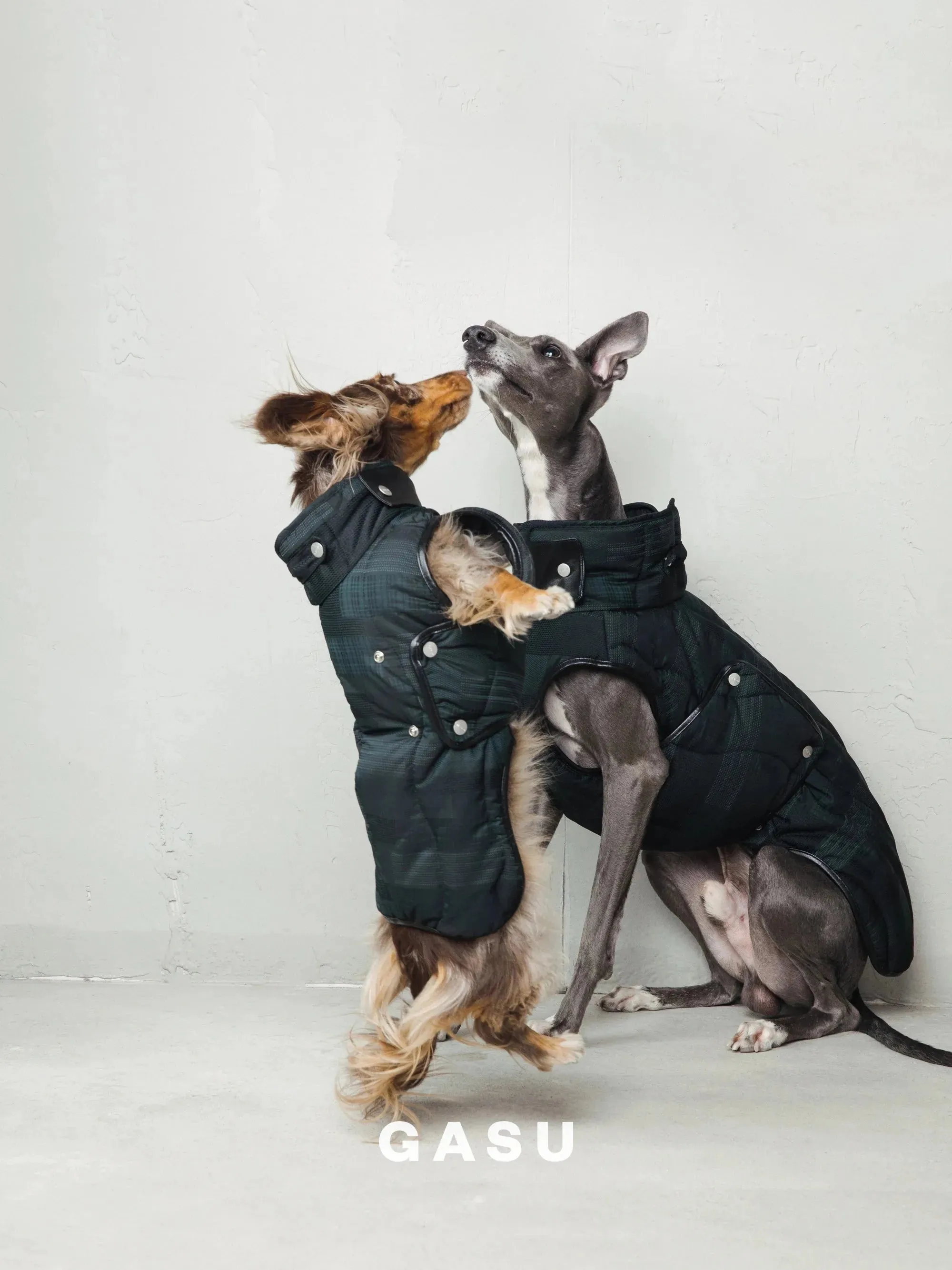 Antistatic Thermal Quilted Dog Vest