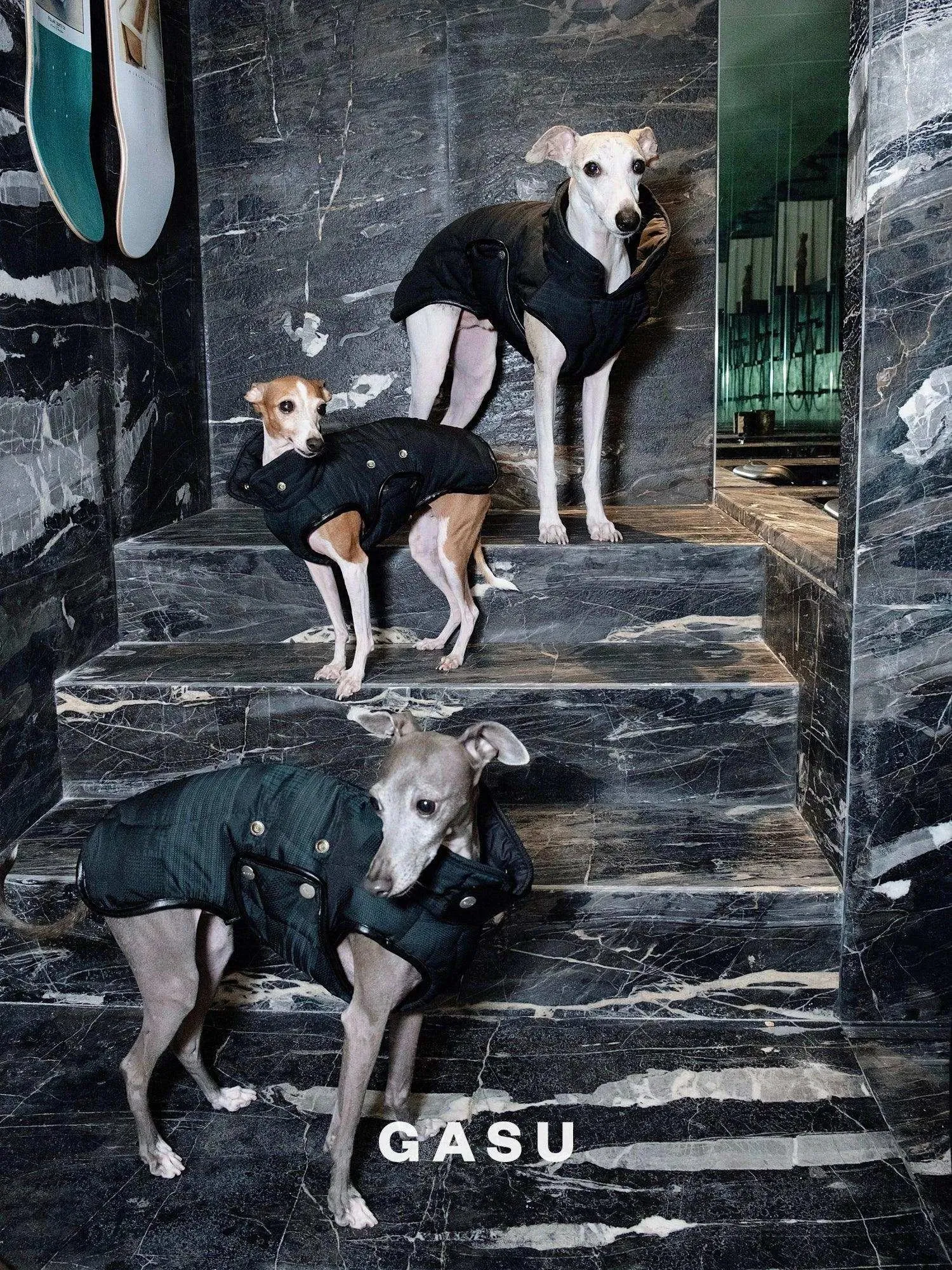 Antistatic Thermal Quilted Dog Vest