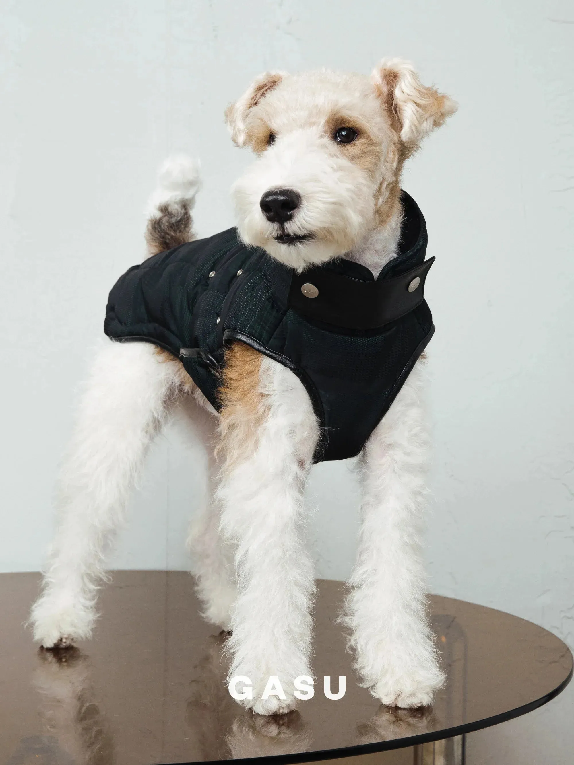 Antistatic Thermal Quilted Dog Vest