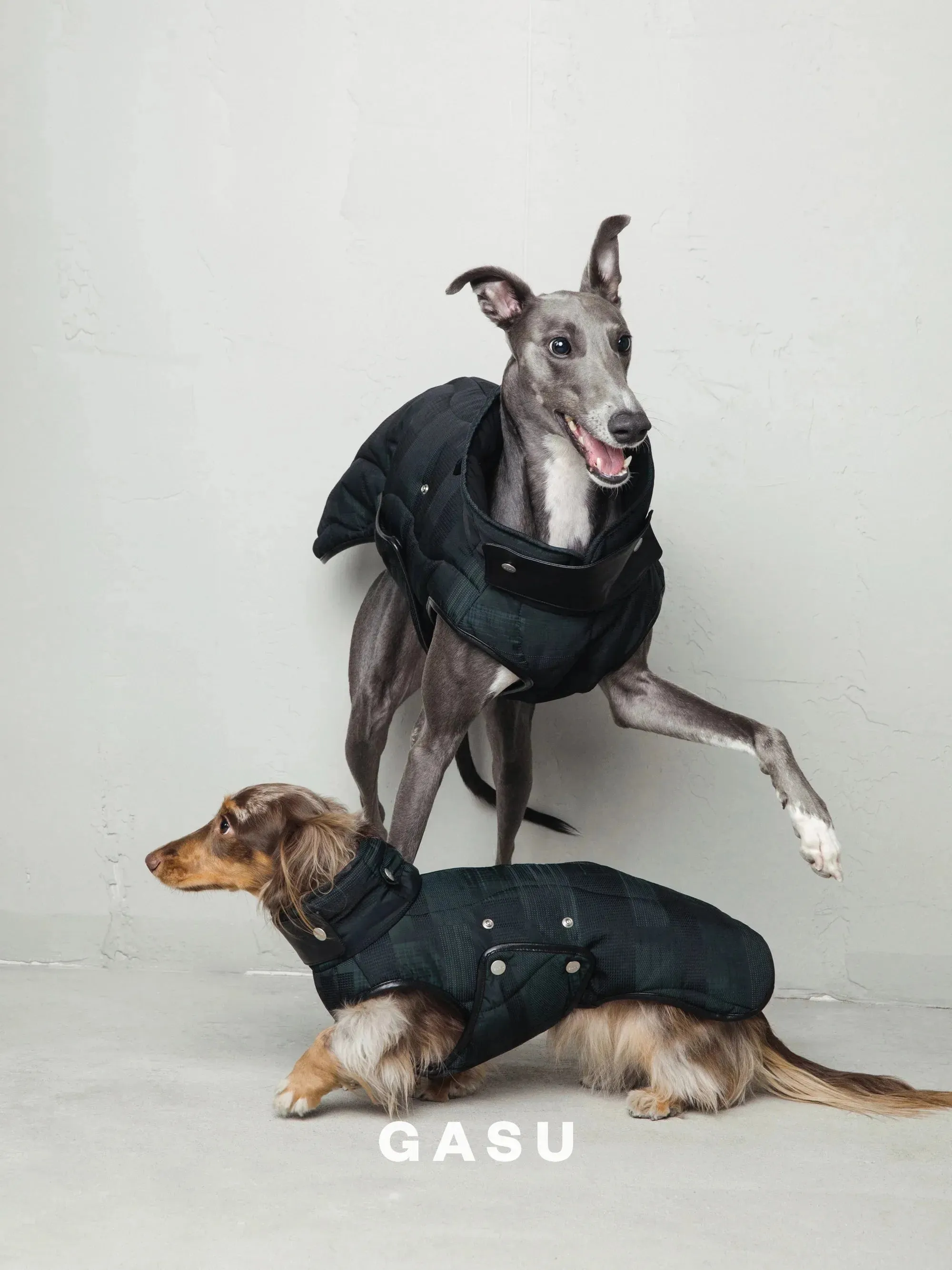 Antistatic Thermal Quilted Dog Vest