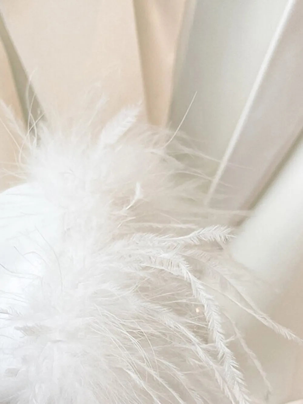FERRA Blazer & Pants w Feathers Set