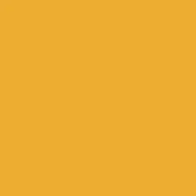 Golden 6" Cove Molding 700 Series