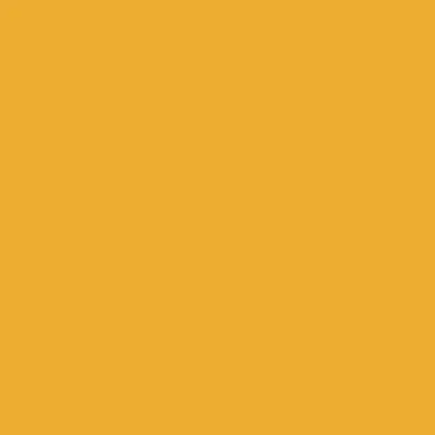 Golden 6" Cove Molding 700 Series