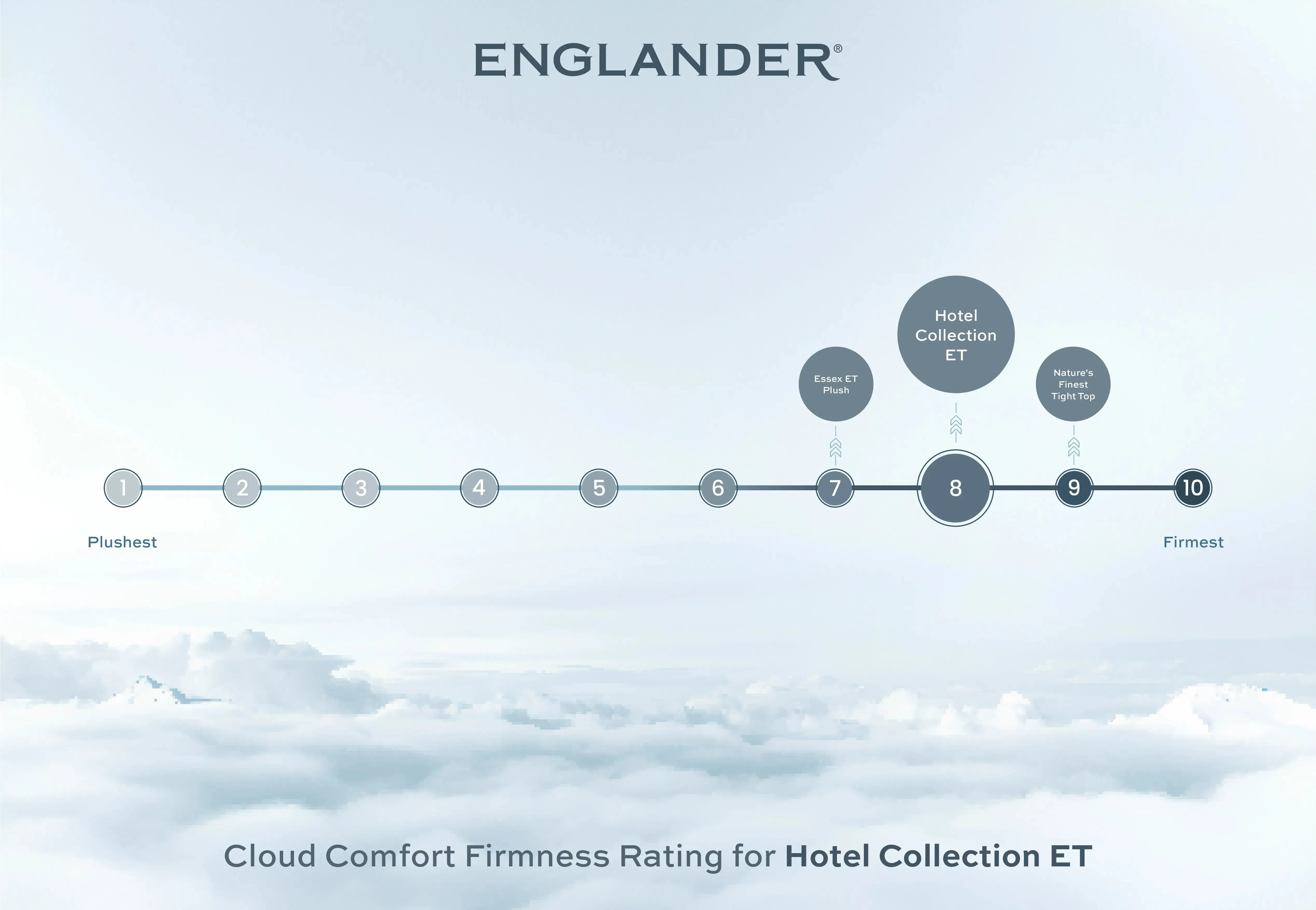 Hotel Collection Euro Top Mattress by Englander