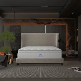 Hotel Collection Euro Top Mattress by Englander