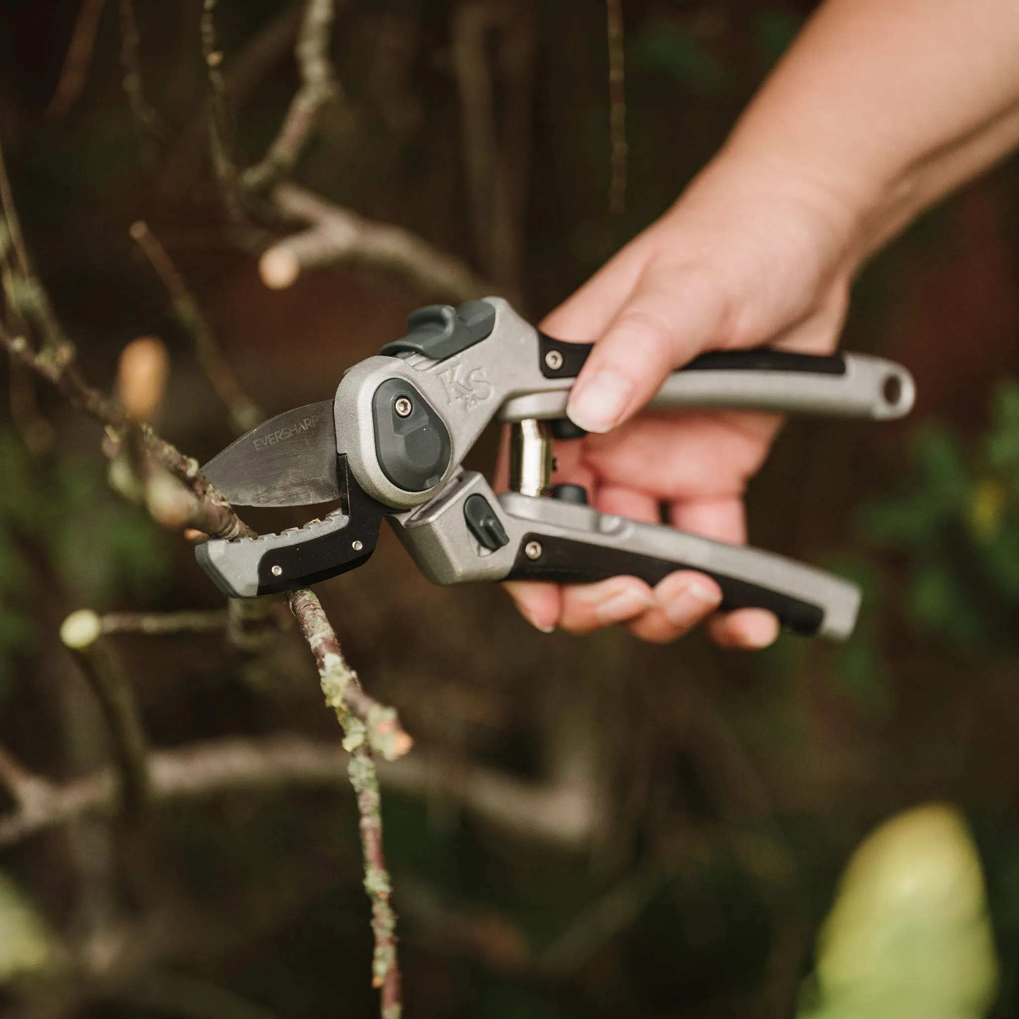 Kent & Stowe Eversharp Hard Wood Secateurs