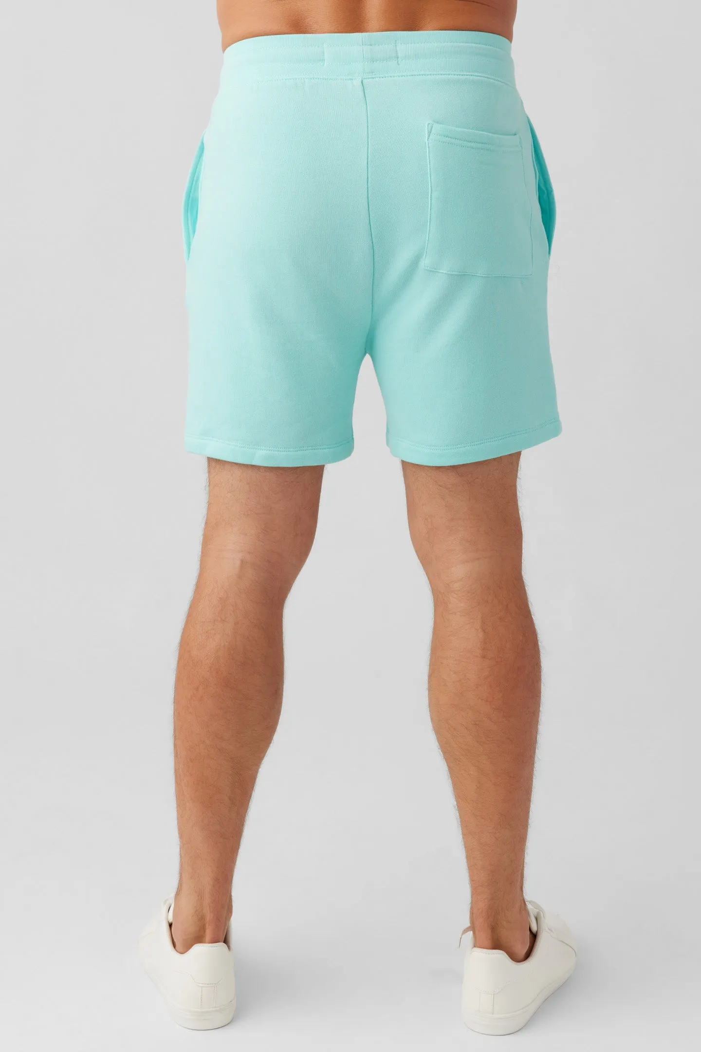 Mineral Wash Short