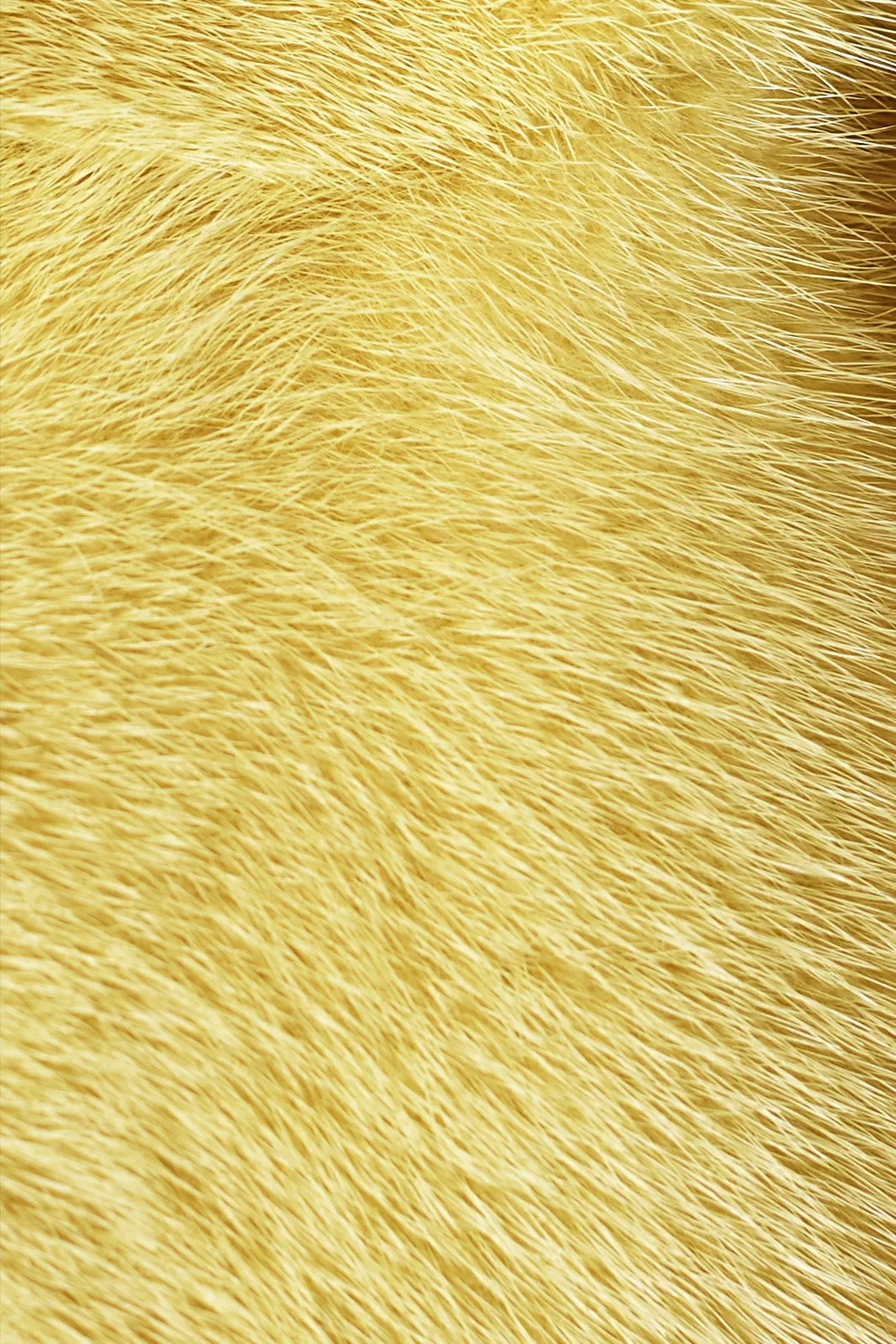 Sarah Long (100cm) Mink Fur Coat