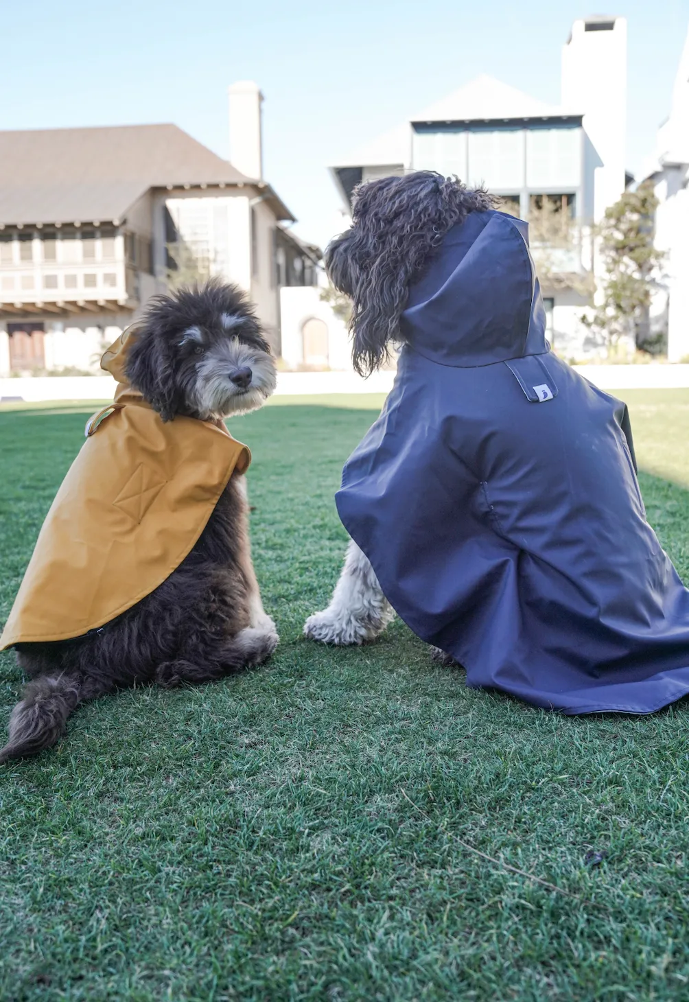 William Cape Raincoat Navy Blue